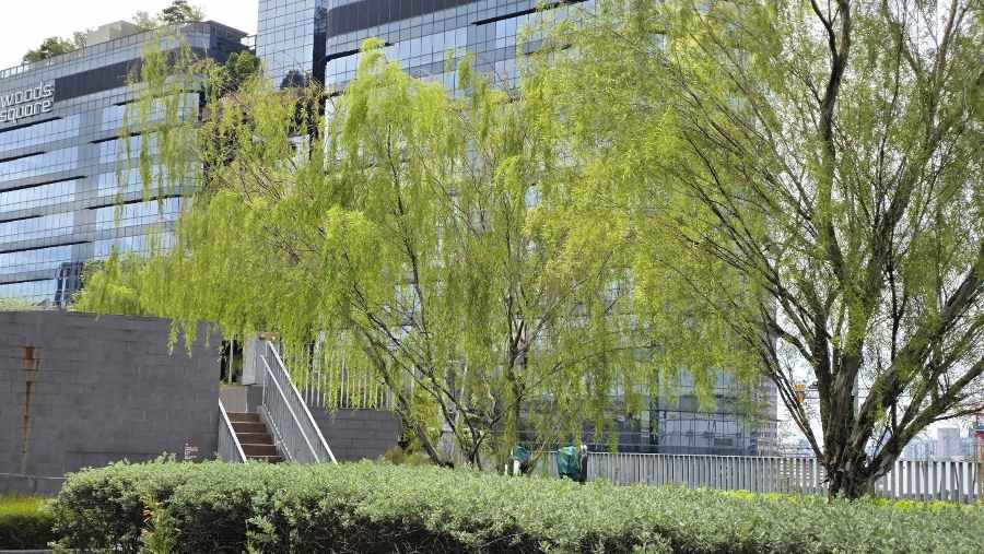 Woods Square Woodlands Commercial property